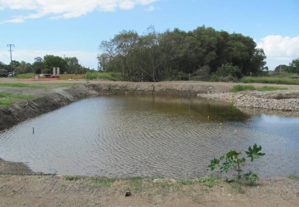 Mangroves destroyed: Developer fined